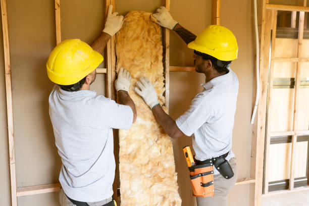 Best Professional Insulation Contractor  in Dryden, MI