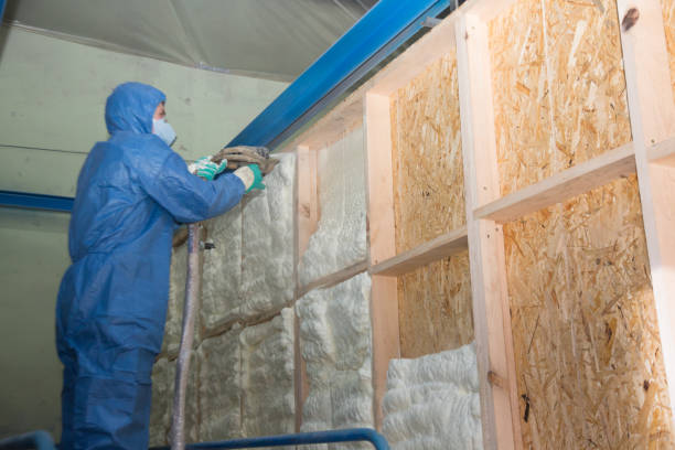 Best Insulation Replacement Services  in Dryden, MI